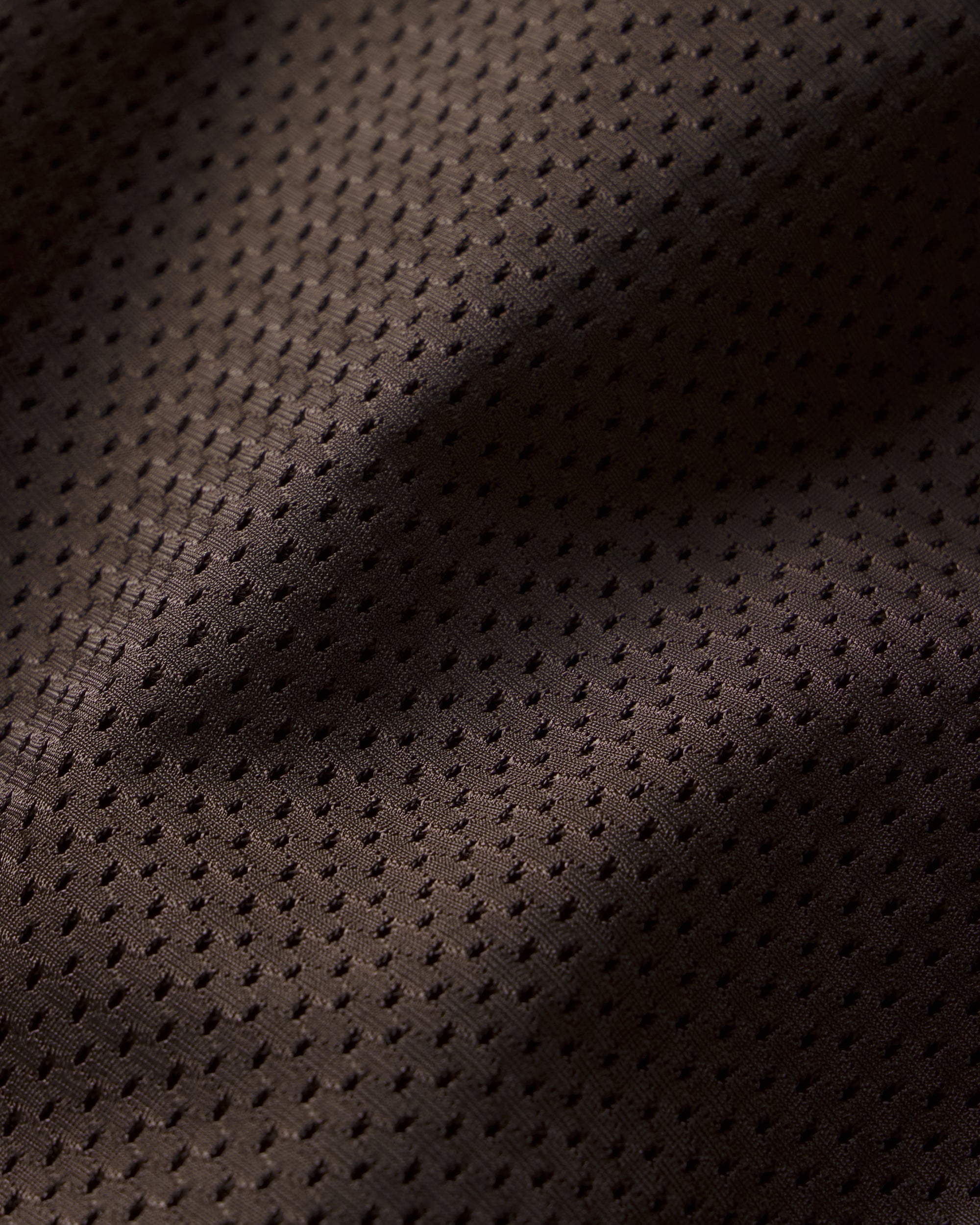 5" Mesh Short